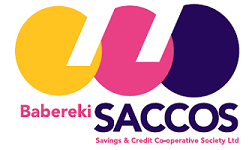 Babereki SACCOS